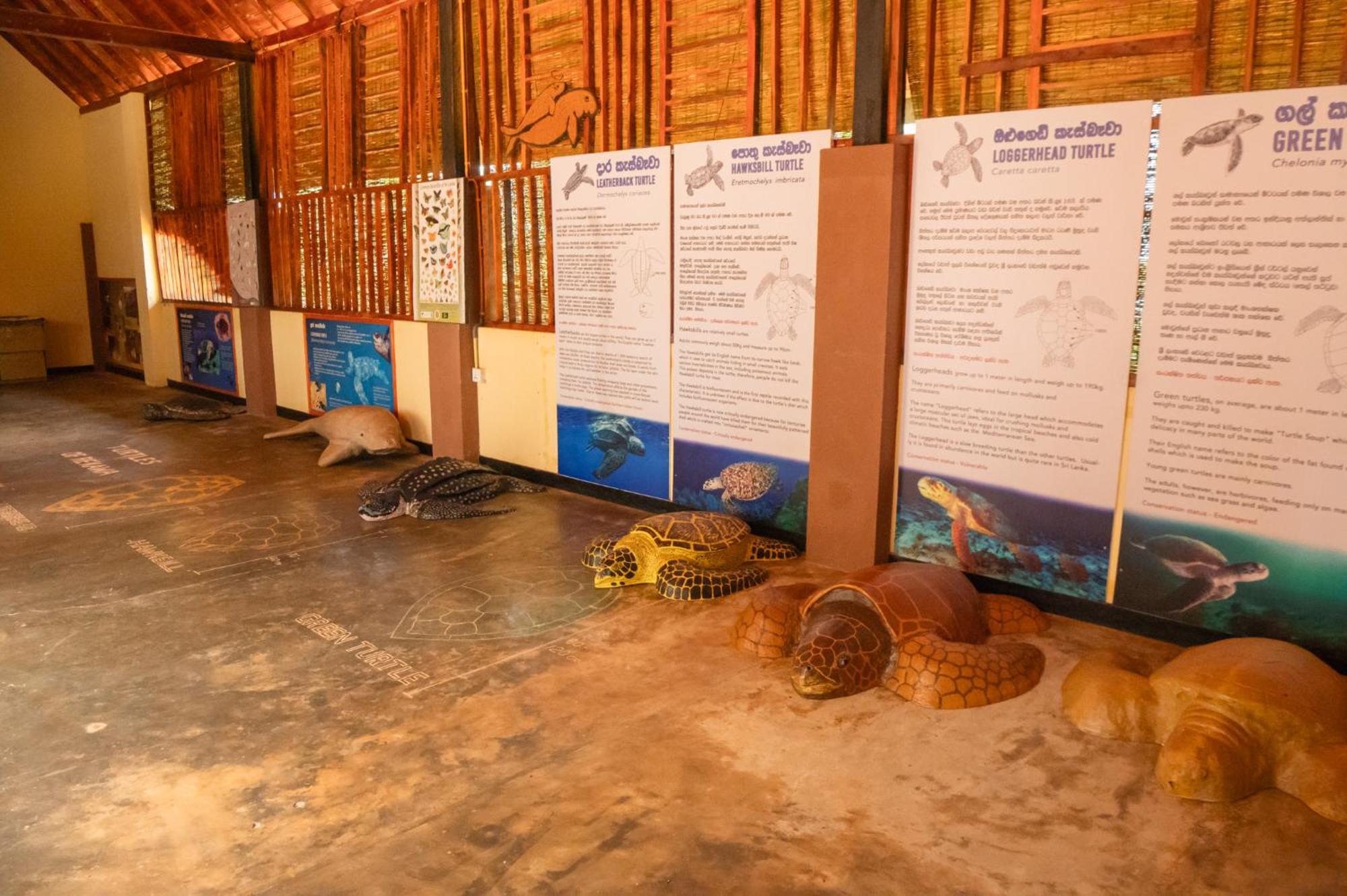 Rekawa Turtle Gate Hotel Tangalle Eksteriør billede