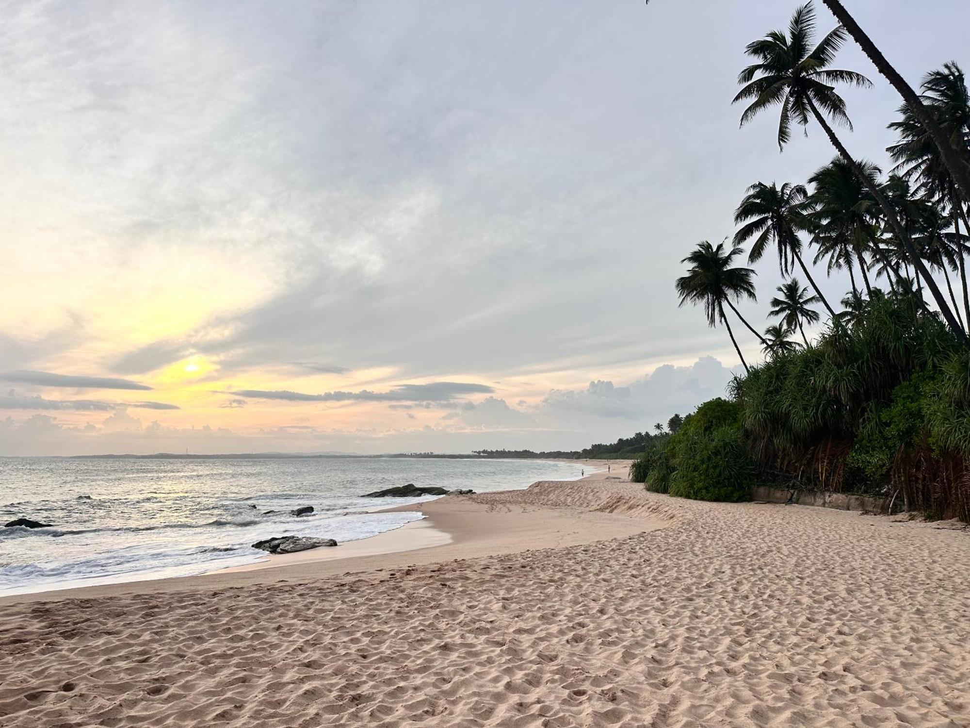 Rekawa Turtle Gate Hotel Tangalle Eksteriør billede